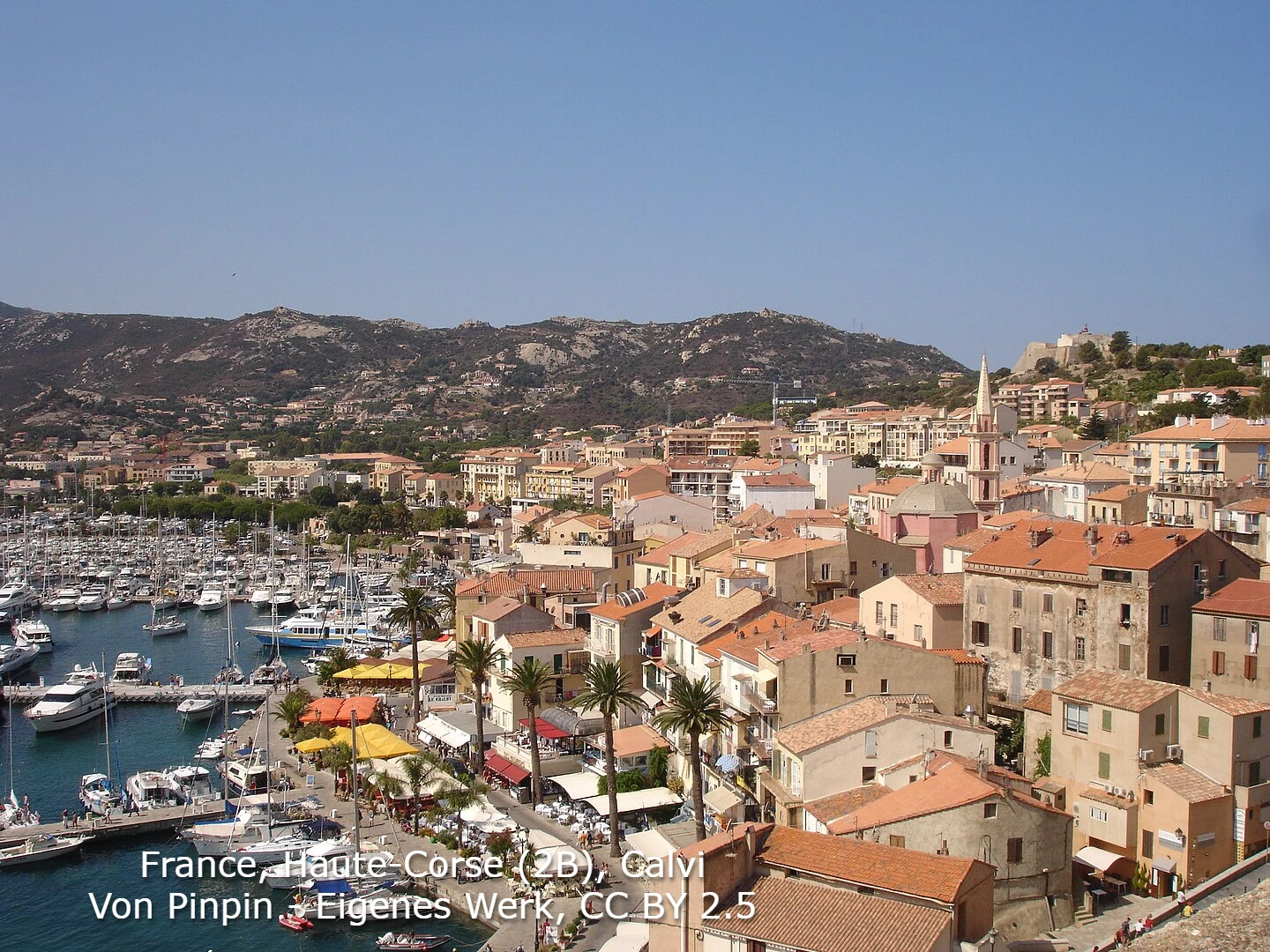 Calvi